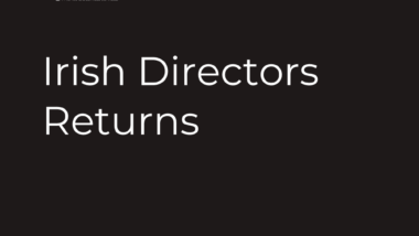 Kinore Finance & Business Services, Irish Directors Returns